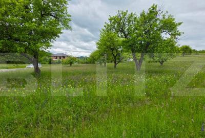 Teren intravilan, toate utilitatile, 9 ari intravilan, zona - 5