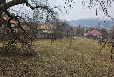 Casă cu 14 camere cu Canalizare în Central - 12