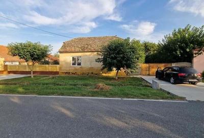 Sanmartinu Sarbesc- Casa individuala- 1370 mp teren Sanmartinu Sarbesc- Casa individuala- 1370 mp teren - 1