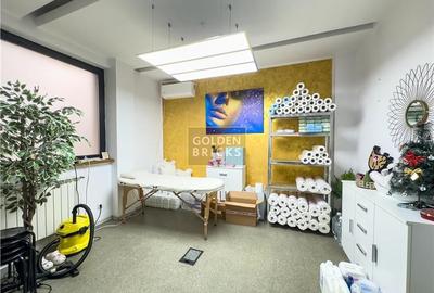 Piata Victoriei | 7 Camere | Metrou 4 '| Vila Individuala - 11