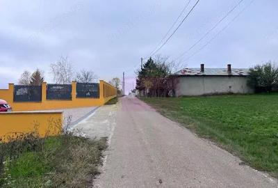 Teren de 5000 mp, în Comana - 4