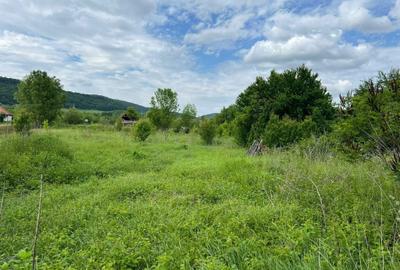 Casă cu 4 camere în Revetiș - 3