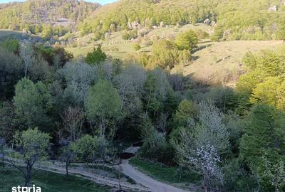 Teren de 635 mp, în Cornereva - 5