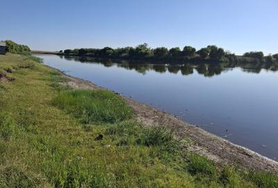 Proprietate specială, de 120,000 mp, în Ciocârlia - 2