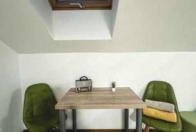 Ofer spre inchiriere STUDIO Modern si Primitor la Casa - 4
