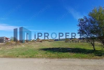 Corbeanca - Tamasi | Teren 1225mp, deschidere 44ml | Utilitati in proximitate - 5