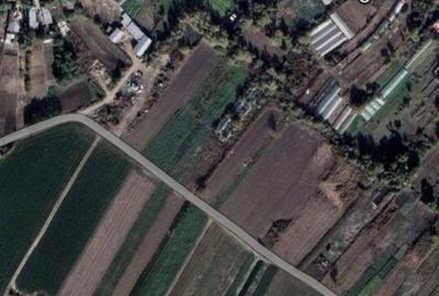 Teren de 2000 mp, în Măgurele