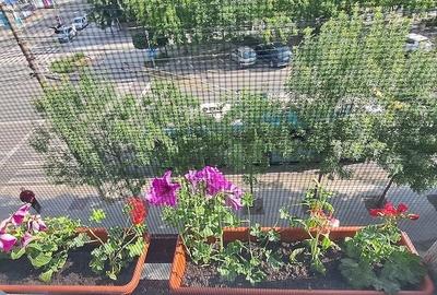 Garsonieră decomandată în Dunărea - 3