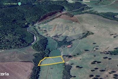 Teren de 10000 mp, în Dumbrăvița - 3