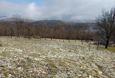 Vand casa cu 5000 mp teren - 1