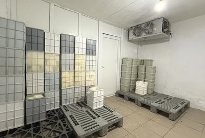 Fabrica de productie branzeturi, Business functional, 25 de ani activitate - 11