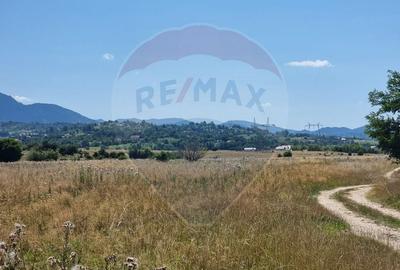 Teren unic de 11,600 mp/Extravilan/Rasnov - 8