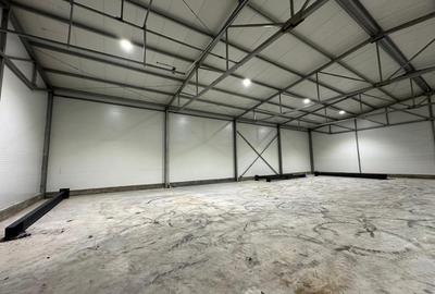 Drumul intre Tarlale – zona Catelu, hala 595 mp - 2