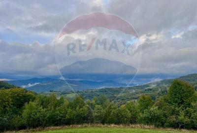 Teren 7,350mp Bulz / Drumul Secundar Teren 7,350mp Bulz / Drumul Secundar - 1