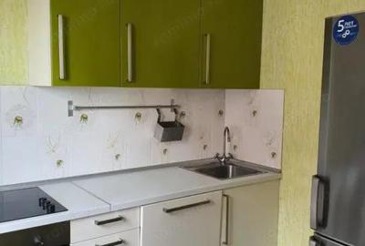 Apartament cu o camera de inchiriat in zona Dambovita - 2