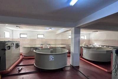 Pensiune/Ferma pescicola la cheie, teren 4000 mp, zona Molid - 9