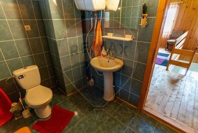 Casă individuală cu 3 camere cu Garaj în Certeju de Sus - 17