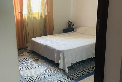 Comuna Marzanesti, sat Valea Parului, str Lalelelor, Teleorman - 8