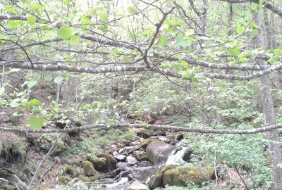 Teren Construcții intravilan de 5700 mp, în Râu de Mori - 17