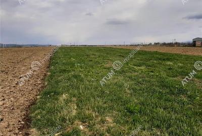 Eren intravilan 1400 mp de vanzare pe Valea Avrigului - 3