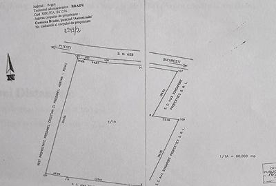 Vand 60 000 mp teren c-c, intravilan, curti-constructii, langa Metro, Pitesti, DN 65 b - 3