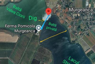 20 ha Amenajare Piscicola Ialomi?a, Lacul Strachina de inchiriere - 3