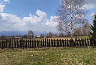 Spațiu comercial, în Dealu Negru - 7
