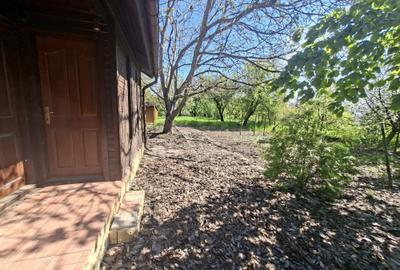 Casă cu 2 camere în Cernica - 4