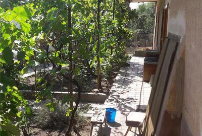 Casă cu 5 camere cu Teren 1600 Mp în Central - 5