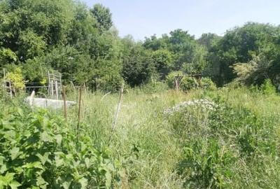 Casa individuala cu gradina frumoasa, teren mare Moldovenesti-Cluj - 20
