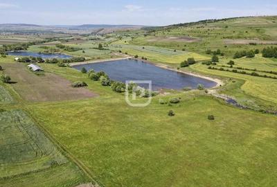 Lacurile Costanei | Todiresti | Suceava - 1