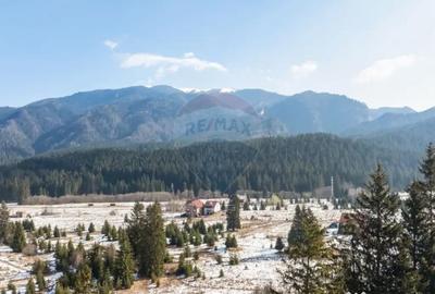 Casă cu 16 camere cu Teren 1368 Mp în Timișu de Sus - 1