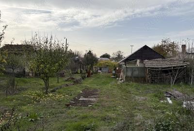 Vand casa locuibila 3 camere sat Vitanesti jud. Teleorman - 5
