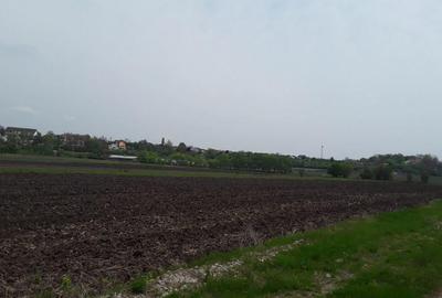 Teren extravilan, Cotofenii din Fata, jud Dolj -id 6954-0... - 2