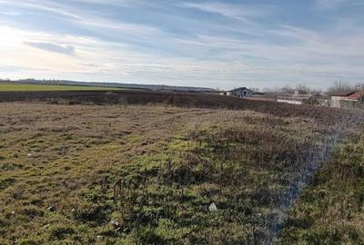 Teren intravilan de 16600 mp, în Bucovăț (Remetea Mare) - 4