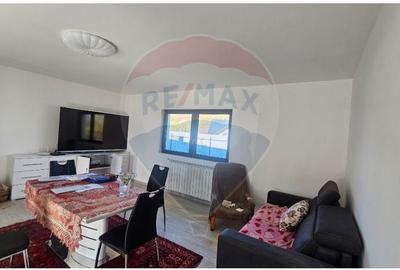 Casă individuală cu 5 camere cu Teren 4242 Mp în Vânători-Neamț - 49