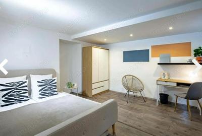 Apartament cu 2 camere de inchiriat in zona Garii - 3