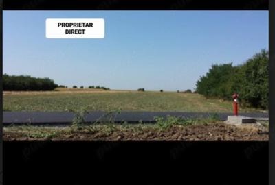 Teren de 3400 mp, în Valea Plopilor - 7