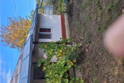 Casa de vanzare in com. Muntenii Buzau , judet Ialomita - 5