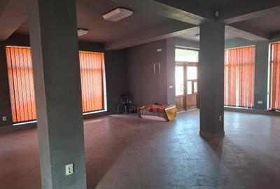 VILA S+P+E+M  cu SPATIU COMERCIAL  central in Nadlac - 9