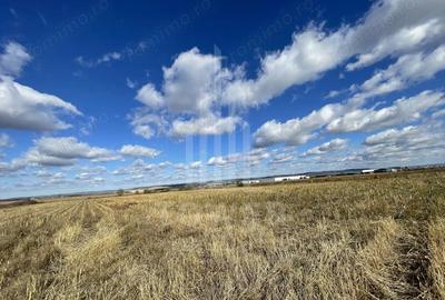 Teren de 14800 mp, în Cristian - 8