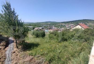 Teren intravilan, 15 ari, utilitati, zona Valea Sigmirului - 2