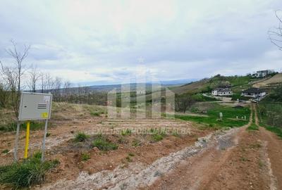 Teren Construcții intravilan de 630 mp, în Cetate - 1