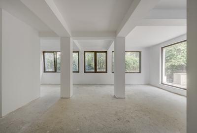 Vila Primaverii, S+P+1+M, 389 mp teren, 266 teren liber - 3