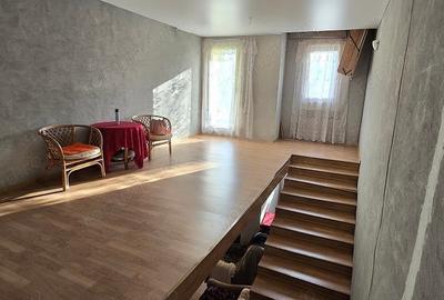 Casă cu 5 camere cu Teren 2763 Mp în Băița - 12