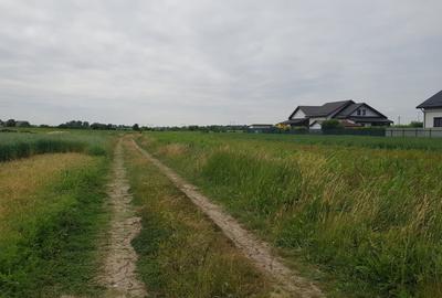 Loturi de teren parcelat, Sabareni, intravilan, 620-650 mp - 4