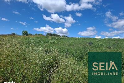 Spațiu comercial, în Fântânele - 4