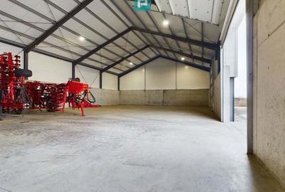 Hala industriala de 538mp Jebel, Timi? - 8