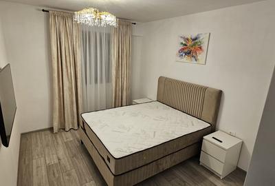 Apartament cu gradina Drumul Taberei Ideal Residence bv Timisoara 101p - 6