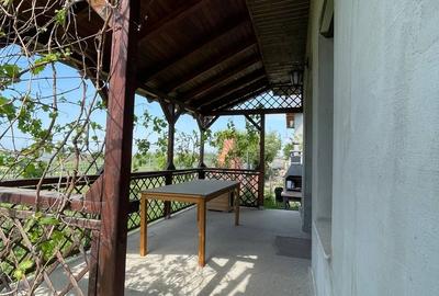 Cernica, Pantelimon, langa padurea Cernica - 8